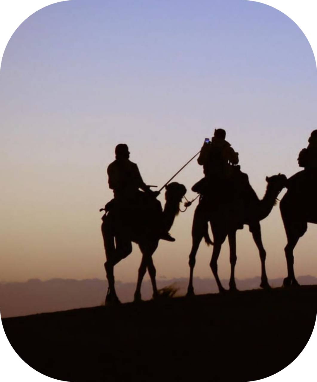 Camel trekking at sunrise in Merzouga desert dunes - Sahara experience