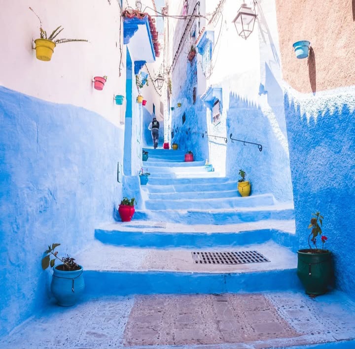 Famous blue street of Chefchaouen medina with colorful flower pots - Morocco travel guide