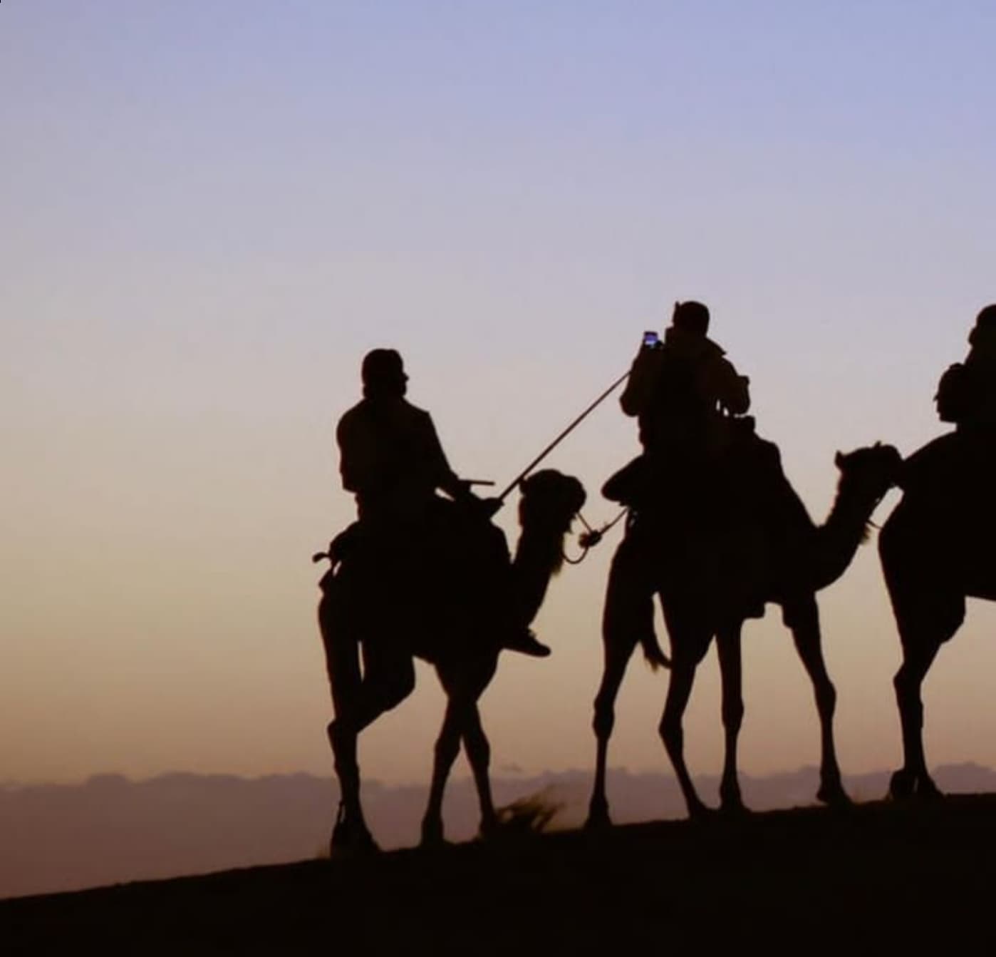Camel trekking at sunrise in Merzouga desert dunes - Sahara experience